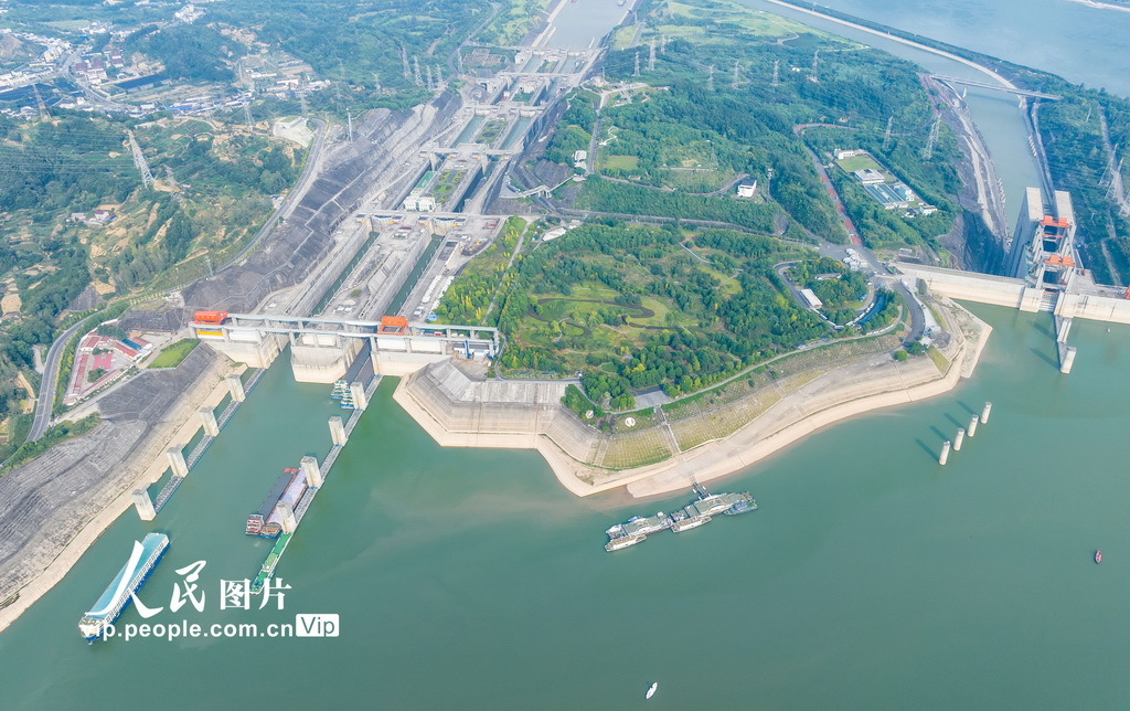 2024年8月25日，船舶有序通過三峽五級船閘。三峽升船機檢修期間，船舶全部通過三峽五級船閘通行。