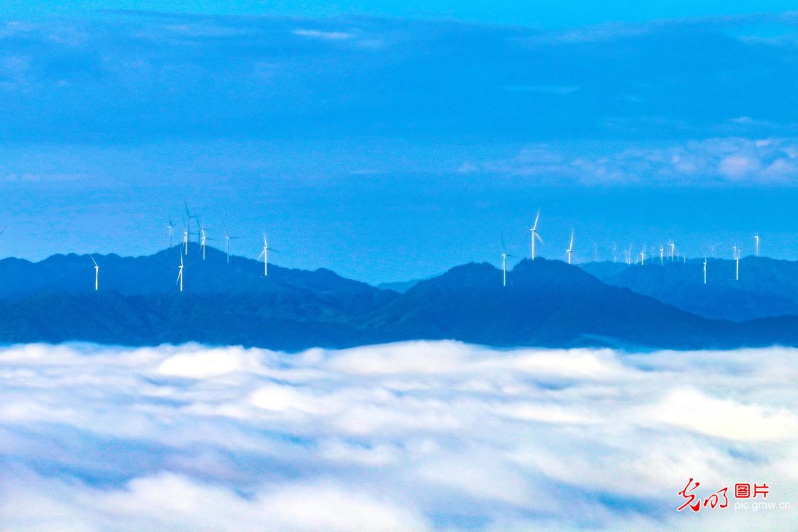新能源產業助縣域經濟騰飛