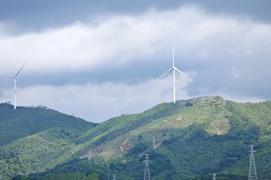 110千伏淳霞赤線為南寧橫縣那莫風(fēng)電場綠電輸送搭建“高速路”。羅文旗 攝