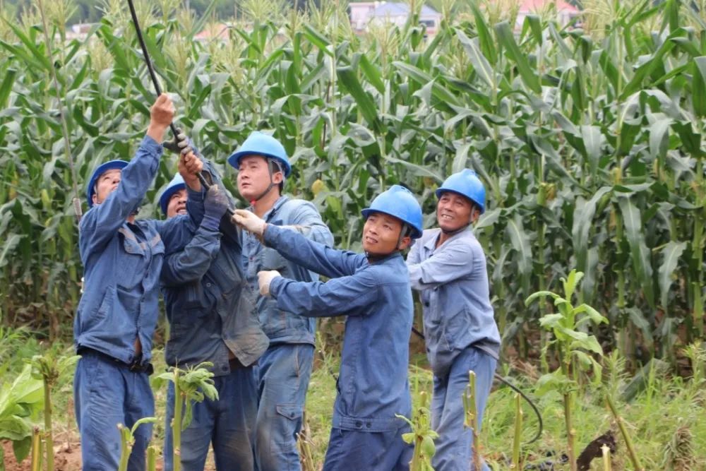 6月18日，暴雨過后，國網福建廈門供電公司員工劉家澤、楊合里等在福建龍巖上杭縣白砂鎮壩上村支援，為新組立的10千伏白塘線62號桿架設導線。.jpg