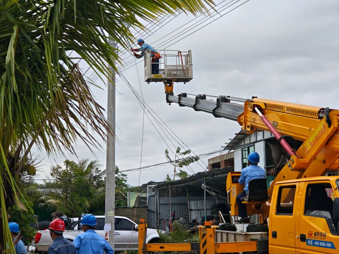 南方電網海南樂東供電局工作人員在承擔著一批國家南繁育種基地供電任務的10千伏望新線開展搶修作業。（莊澤坤 盧欣 袁卅）.jpg