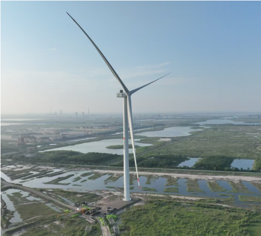 項(xiàng)目葉片現(xiàn)場掛機(jī)示范驗(yàn)證.png
