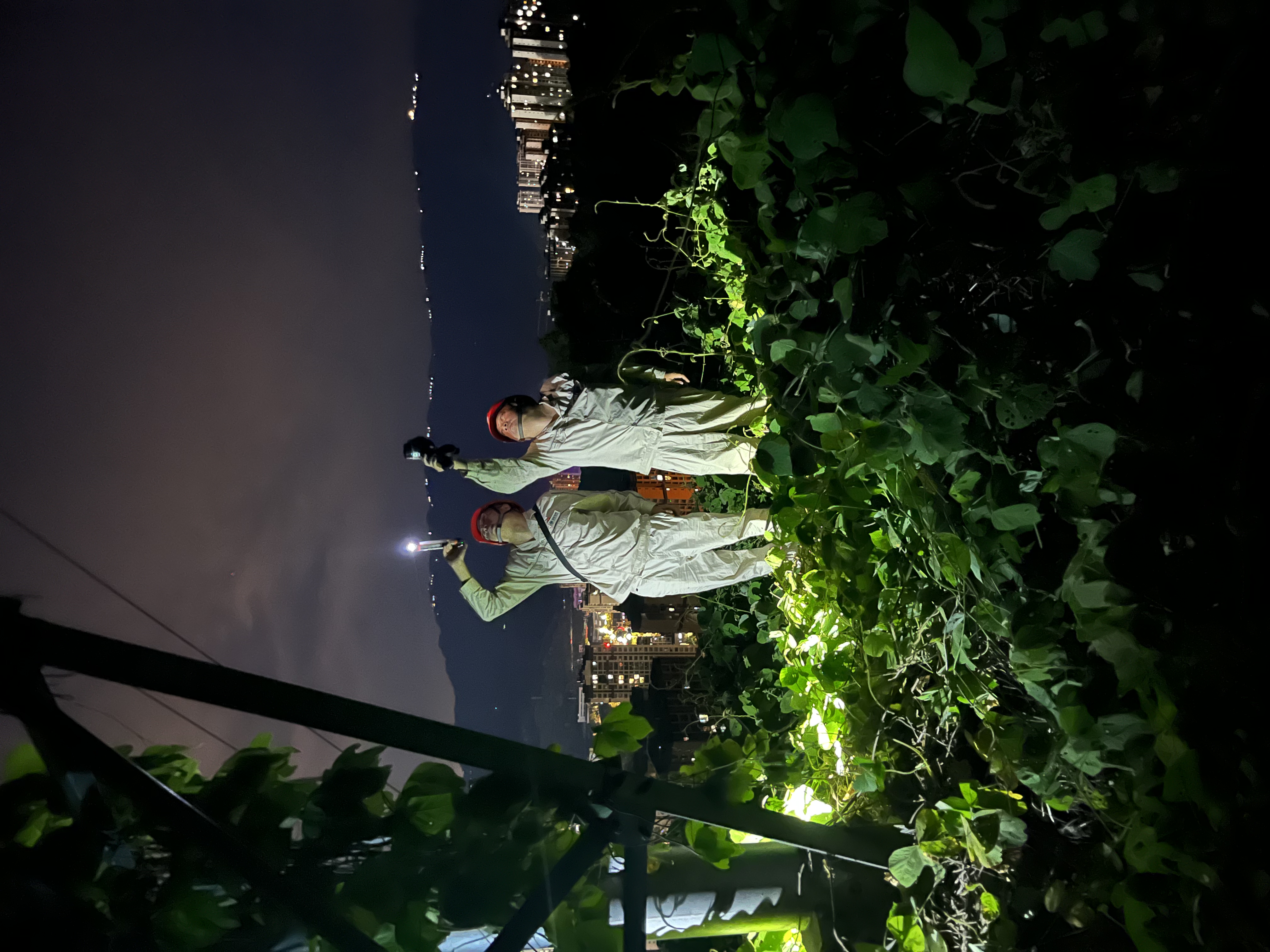 8月20日，國網(wǎng)重慶綦江供電公司工作人員開展督查巡視，對(duì)10千伏惠河線進(jìn)行夜間紅外測溫。（林染 攝）.jpg