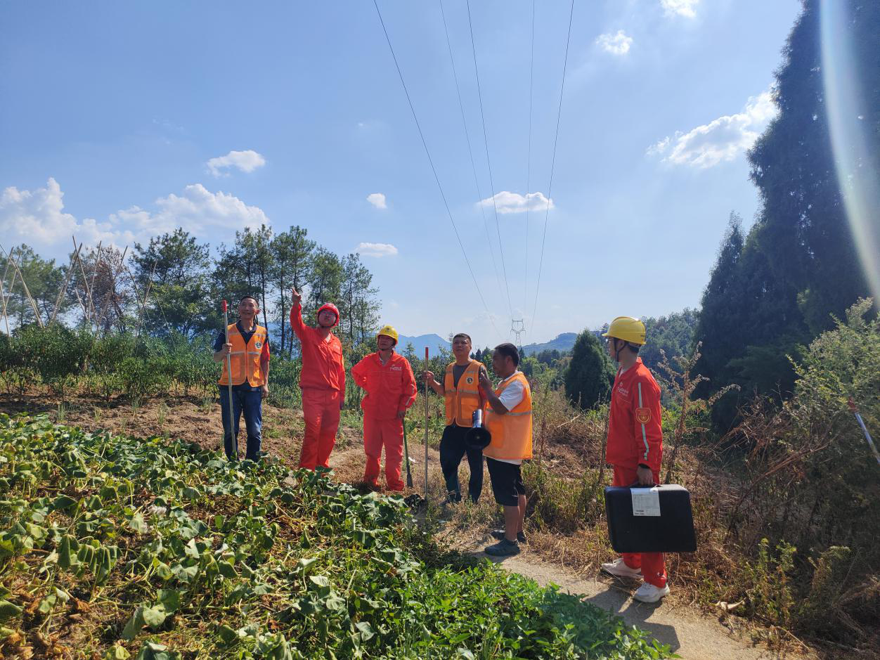 8月27日，國網(wǎng)重慶綦江供電公司聯(lián)合綦江區(qū)林業(yè)局在22.png