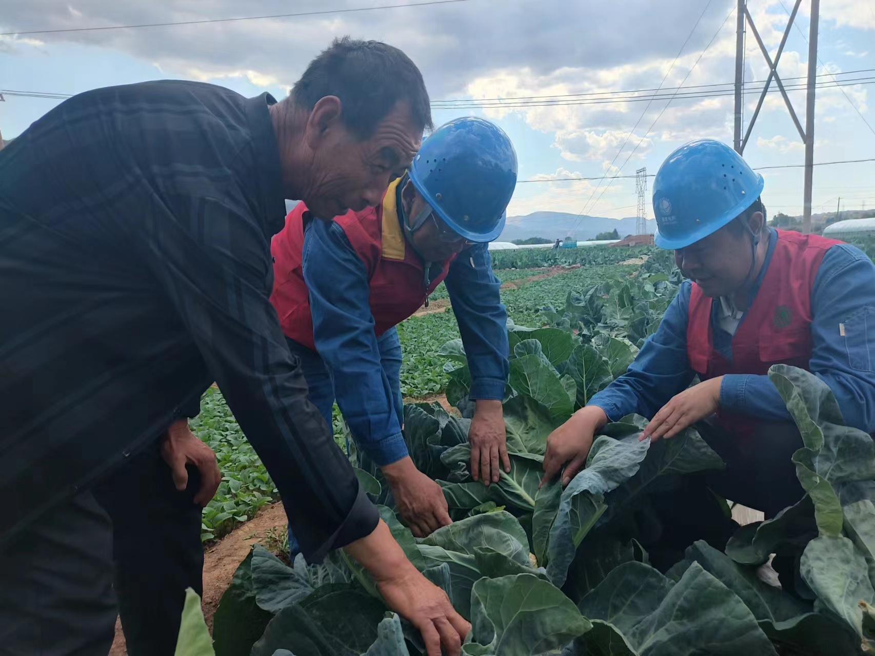 國網蘭州供電公司花莊供電所員工向種植戶了解蔬菜長勢及灌溉用電情況。陳正祥攝.jpg