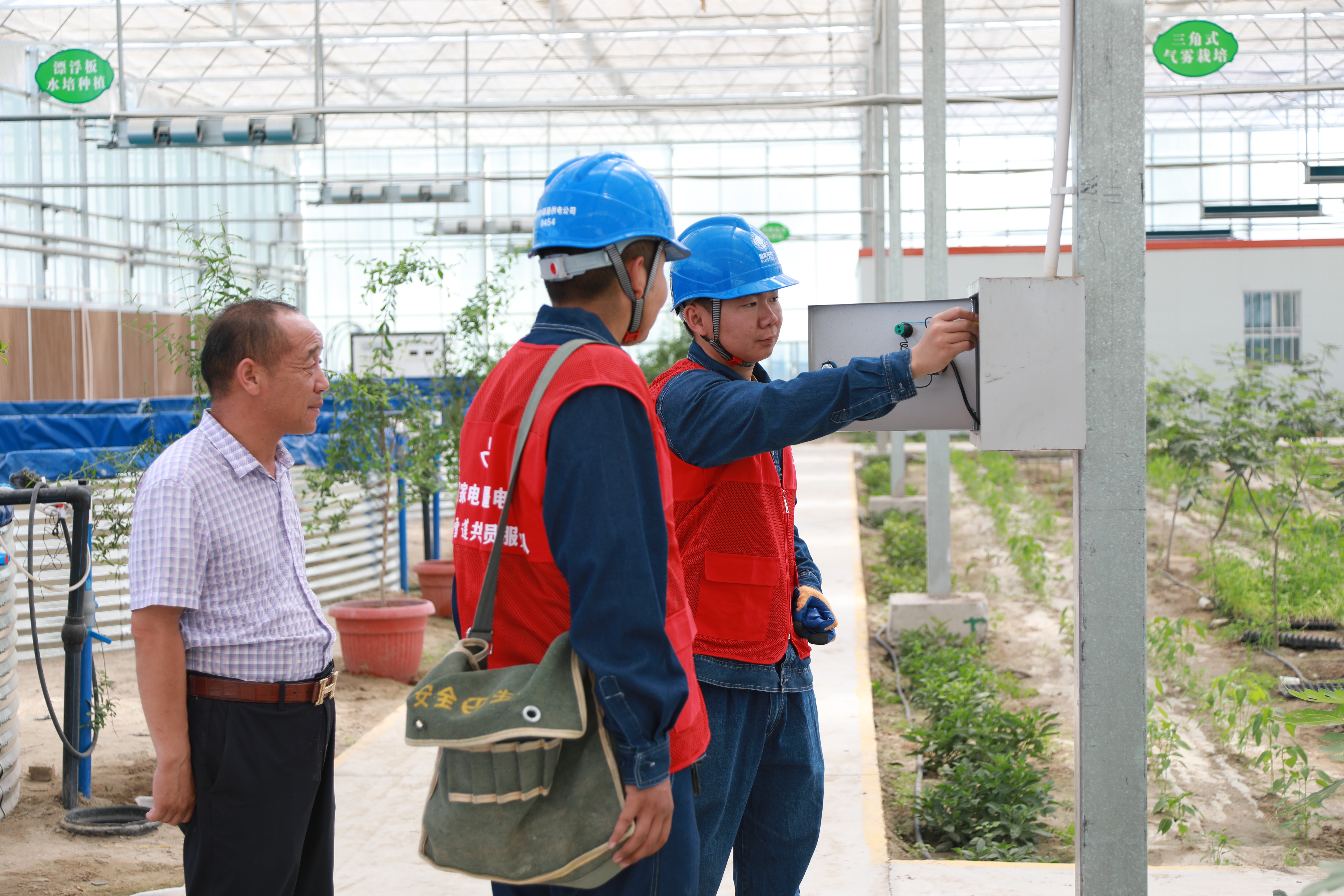 7月8日，國網巴州供電公司員工陳亮、奔拜正在和碩縣蘇哈特鄉智慧溫室大棚內檢查用電安全。（趙文靜 攝）.JPG