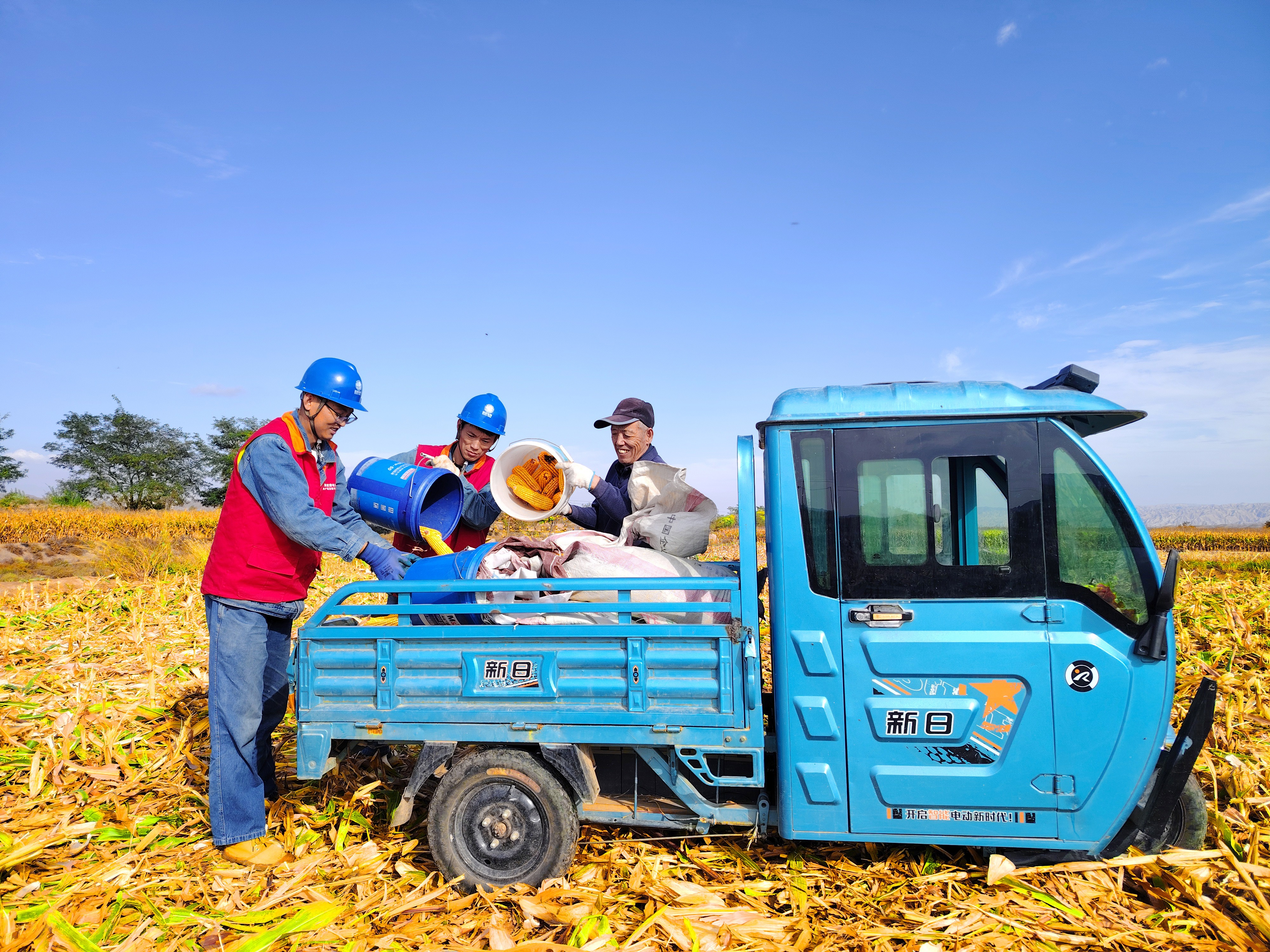10月21日，國網景泰縣供電公司員工在田間幫農戶搬運玉米。（王永嬌  攝）.jpg
